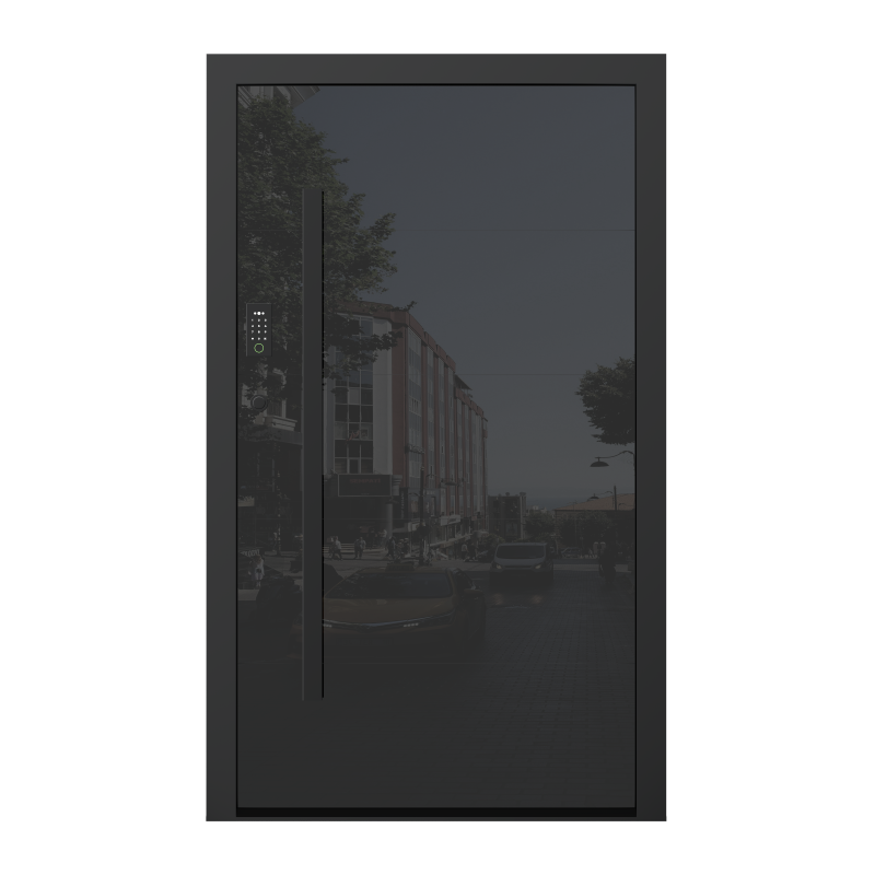 Pivot Door Photo