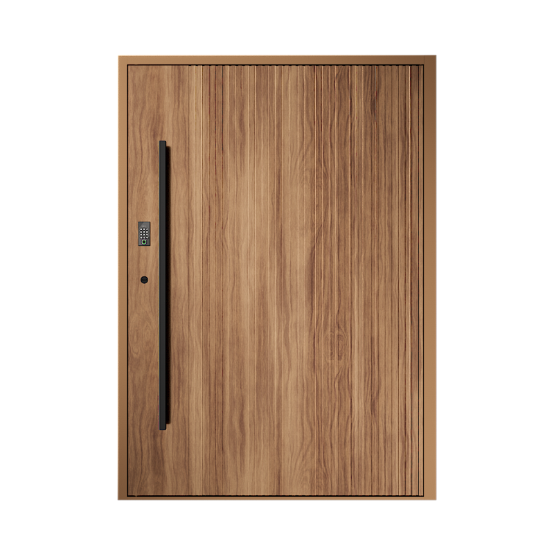 Pivot Door Photo 2