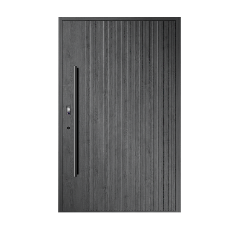 Pivot Door Photo 3
