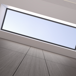 Skylight Window