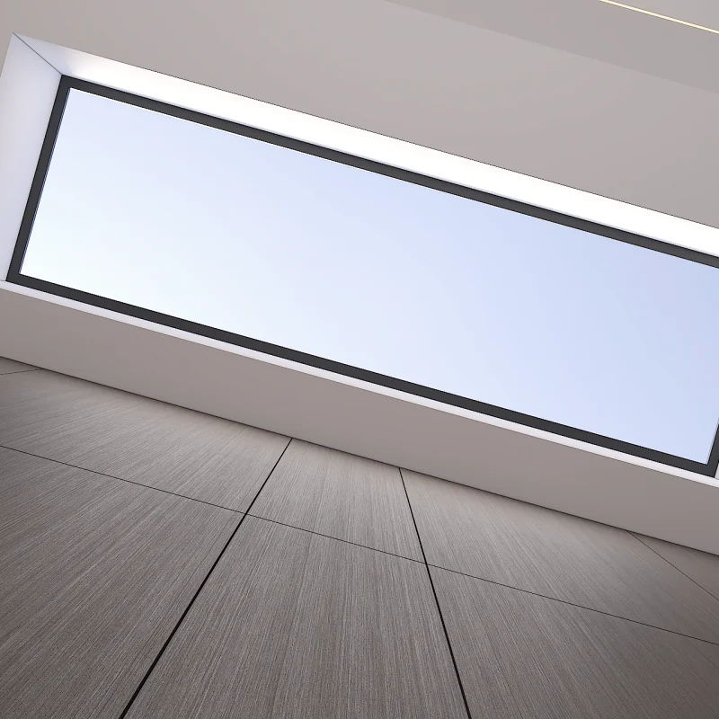 Skylight Window